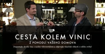 Cesta kolem vinic