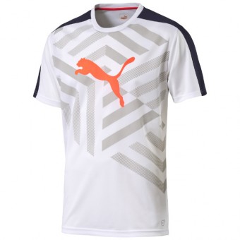 PUMA evoTRG Graphic Tee