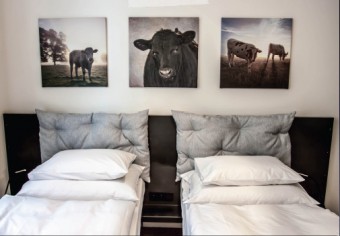 Netradin apartmny MOOo