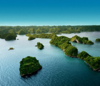 Isla de los Pajaros Los Haitises, Dominiknsk republika