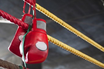 Zanajc boxer potebuje od rukavic zvenou ochranu a podporu, MMA Shop