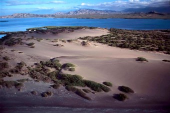 Dunas de Ban, Dominiknsk republika