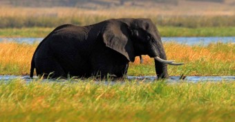 The Hide, Zimbabwe, foto: Ondej Prosick