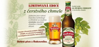 Bakal svtl lek chmelen za studena erstvm chmelem, Tradin pivovar v Rakovnku