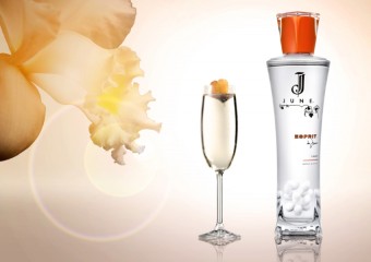 Esprit de June Liqueure, Premier Wines & Spirits