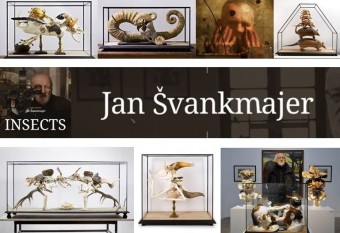 Jan vankmajer  Objekty, DSC Gallery