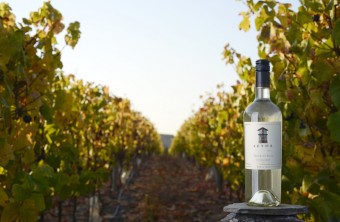 Viña Leyda, Sauvignon Blanc, foto: Premier Wines & Spirits