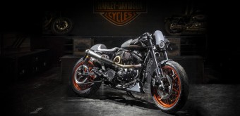 Custom Harley-Davidson Perugia