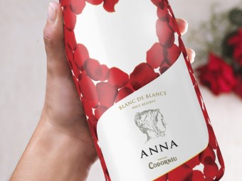 Cava Anna de Codorníu Love, Premier Wines & Spirits