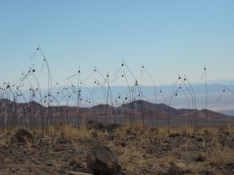 Christian Boltanski, Animitas, 2014, Adagp Paris 2018, Louis Vuitton, Madeline Hurtado, foto kredit: Fondation Louis Vuitton