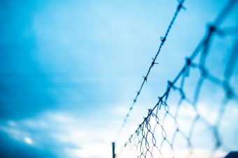 Port zhony nebo osthat ten? Co muste mt v beznu hotovo na zahrad? Zdroj fotografie: Unsplash.com - Markus Spiske