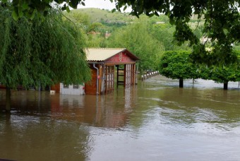 lut lzn - tanrna pi povodni